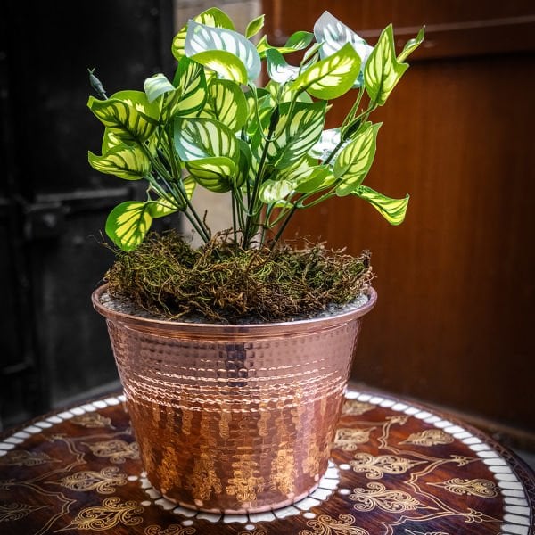 Handygoo Table Shine Bakır Saksı