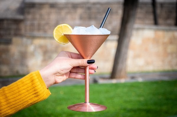 Handygoo Frozen Cheers Bakır Kokteyl Kadehi